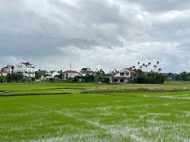 Hoi An Rice Fields-Cycling&Sunset