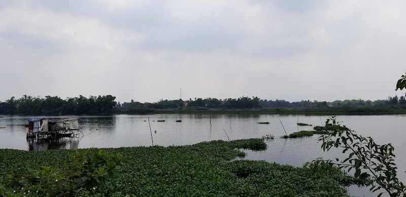 transfer hoi an