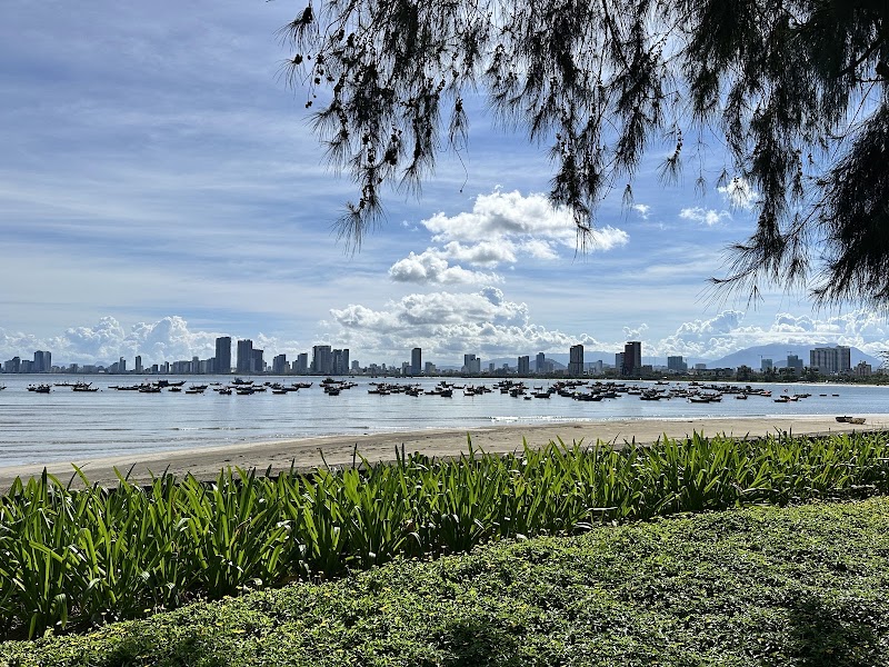 Bãi biển Sơn Trà